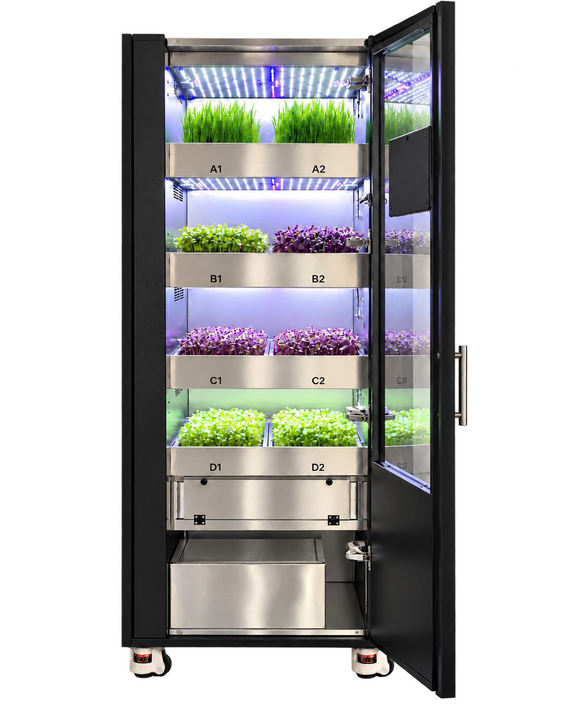 The nutriKube with its door open, showing four levels of growing microgreens